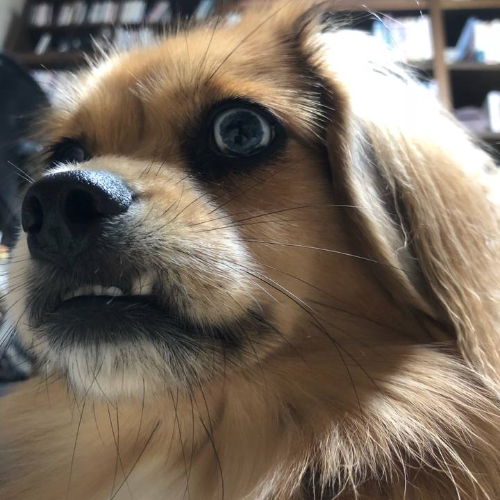 221464a2 4793 48b7 ac81 13de21773f3d 1539990739373