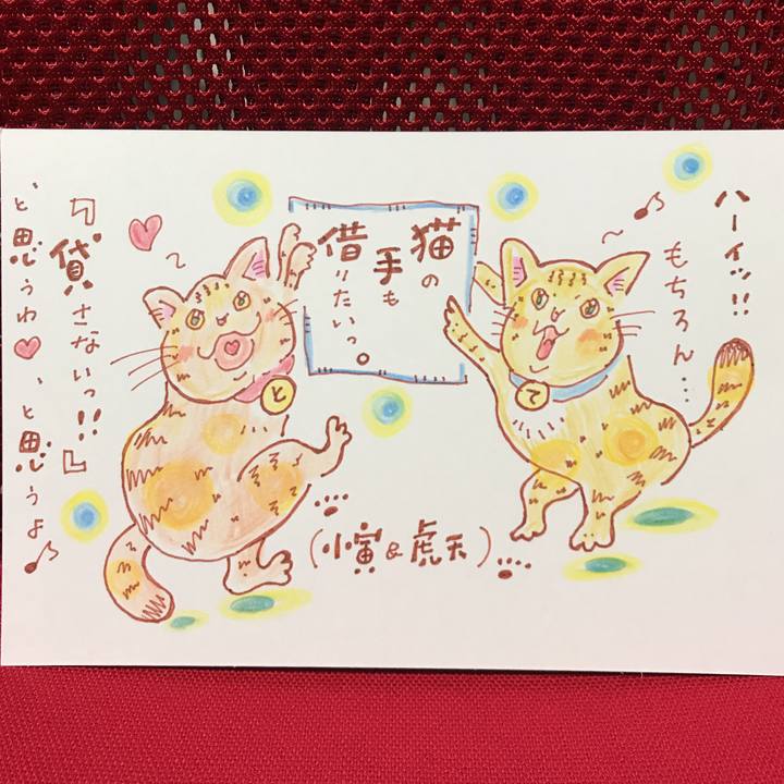 22147308 9463 4ce3 903d 255172830437 1557337679344