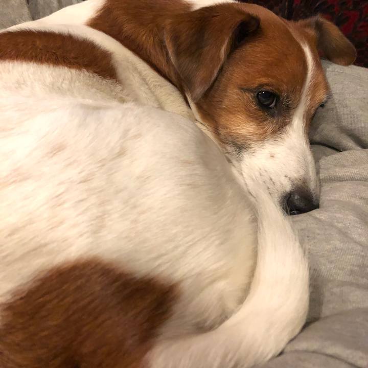 2214a6bf 2c8b 450d 9e93 144275235698 1580197943886