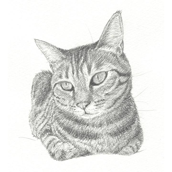 2214ac3a ca43 4865 910c 2e10060b1164 1544706675682