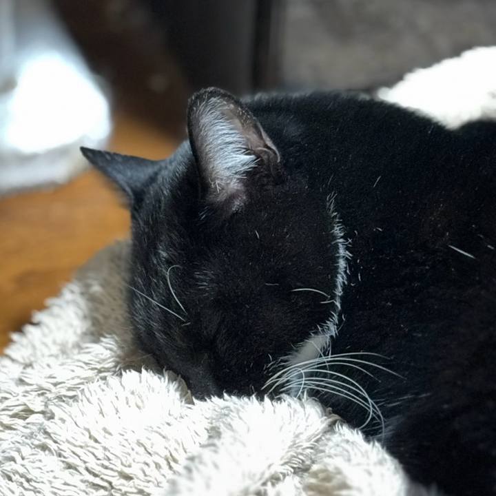 2214b8fc 2606 4261 bf2f b6b4fd1babc5 1766928459766