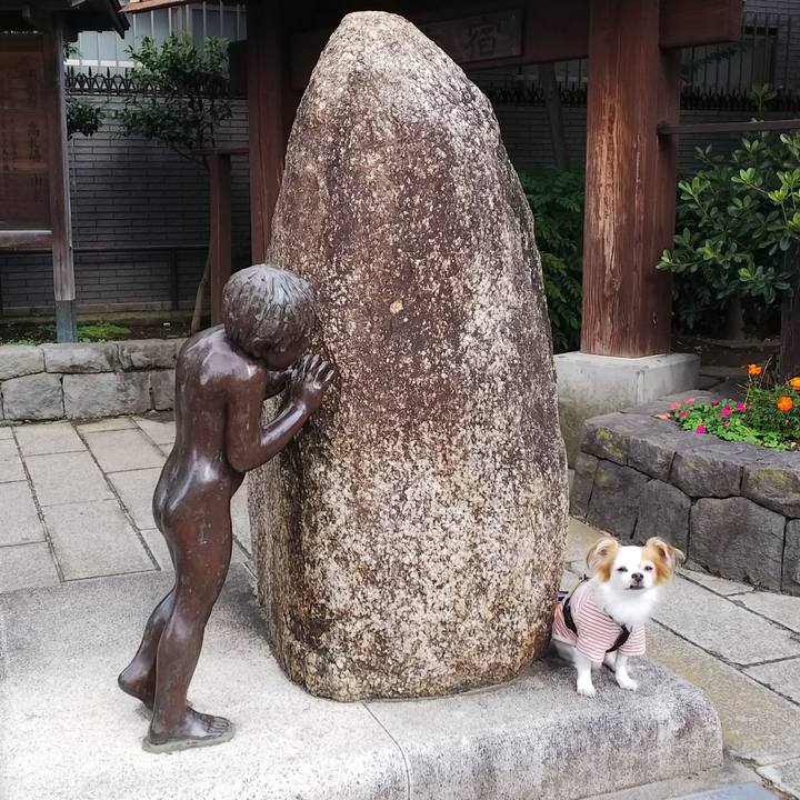 2214c523 144d 43d0 828f ade7b72acd83 1541091472479