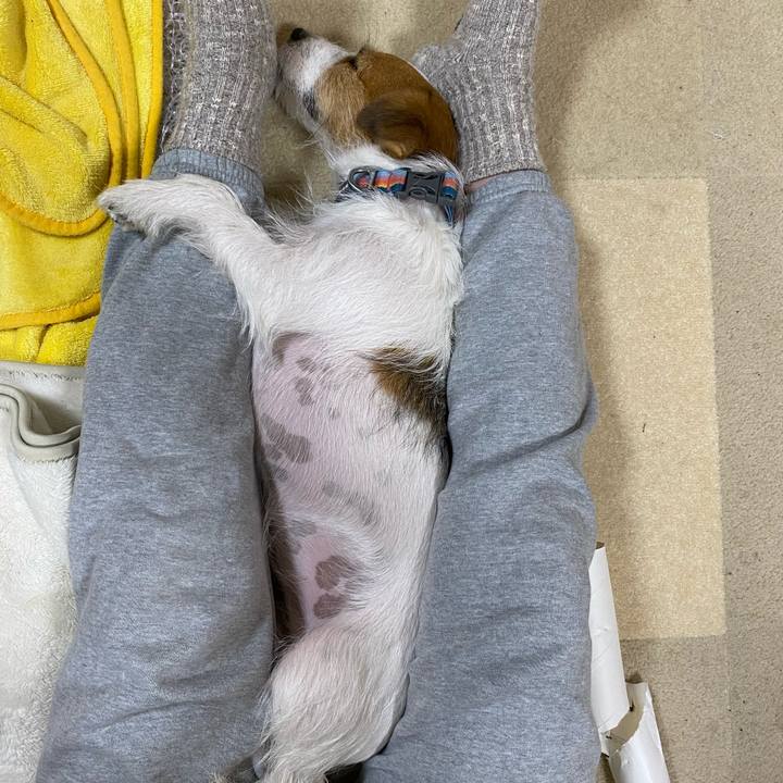 2214cc09 f1d5 4fdc ab95 bf079979f78f 1700140264853