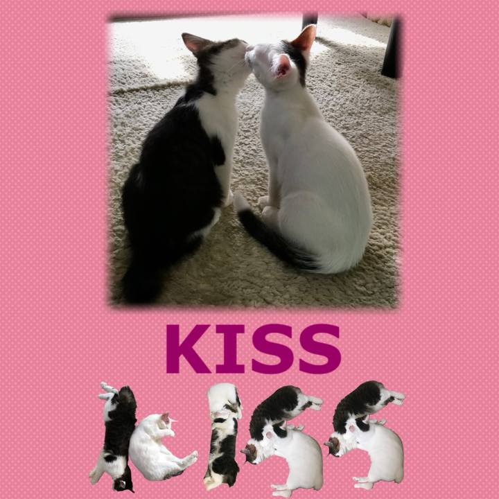 2214cedc 333f 4696 8738 ad467b7b9c8c 1667689984271