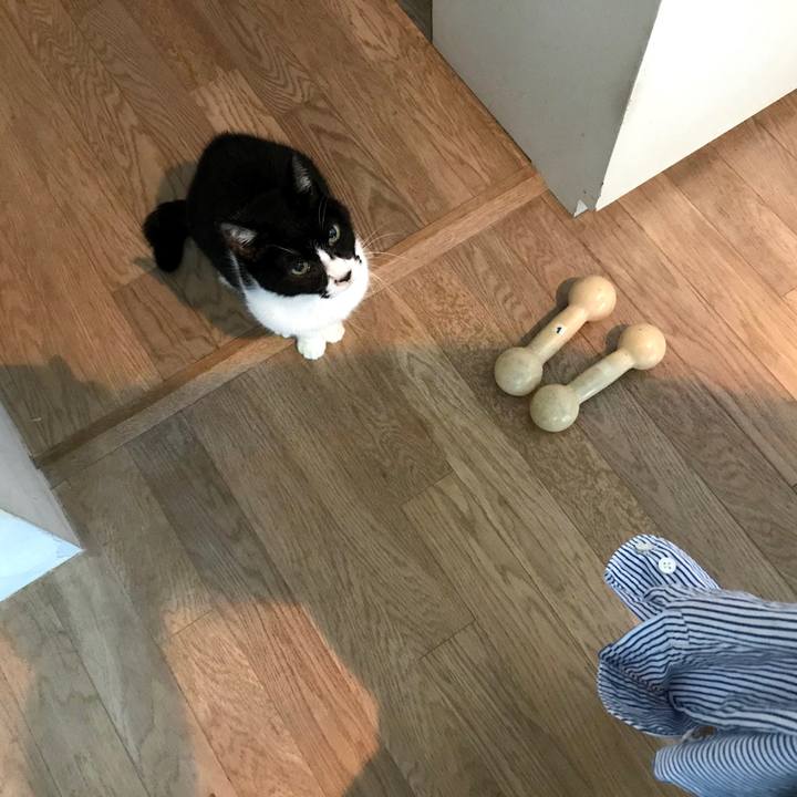 2214e622 8fcf 4bf7 87c6 1b2fc6de7295 1573869884184