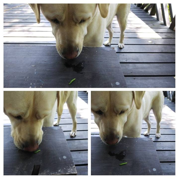 2214f25e 7d9e 4792 a941 cf8c8ae374e8 1565498173099