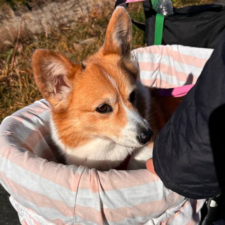 22151134 35a5 4685 8119 3d23151c0dd2 1733628559957