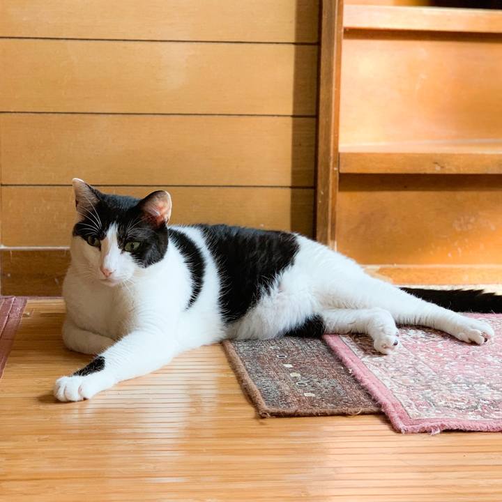 22153012 f847 4b78 9692 5d892bd42995 1570674083580