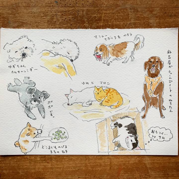 221558cf 1f4c 4dbc 918b 45b96d17fd72 1601364637629