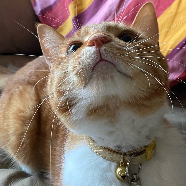 2215712a 0257 4855 9efd 8ade77c37595 1598267196966