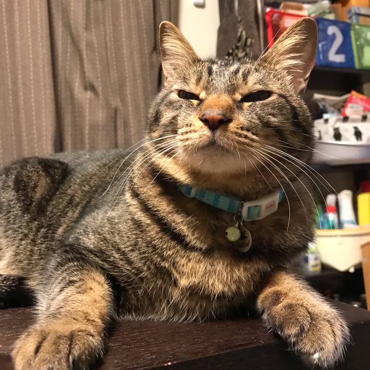 221576eb 7c2c 413a 82be 1c9caaa94fe2 1549290665139