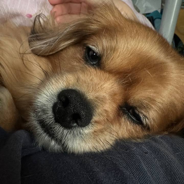 22157fe0 ec26 4347 8ec0 4de76fc61b3d 1678313765494