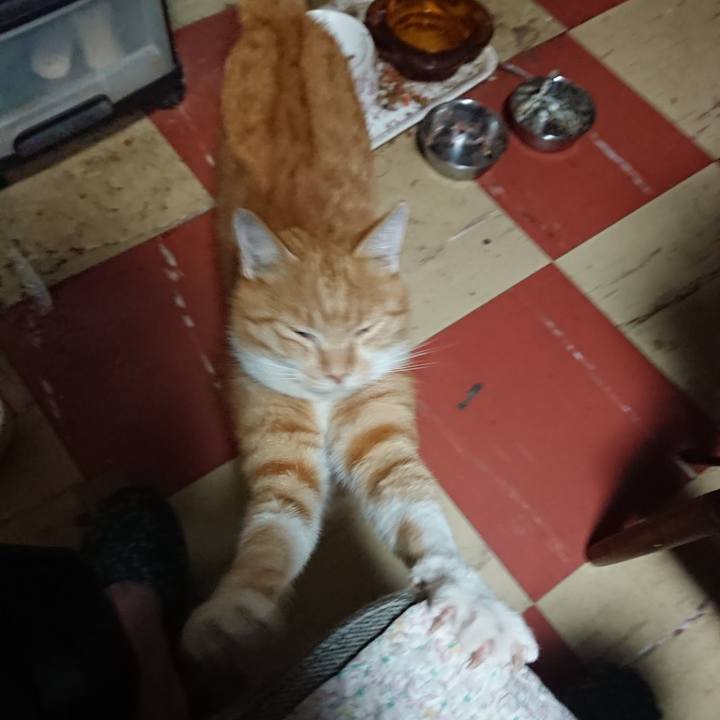 22158ec5 ef03 499c 96b1 f219edeae3ac 1570786755882