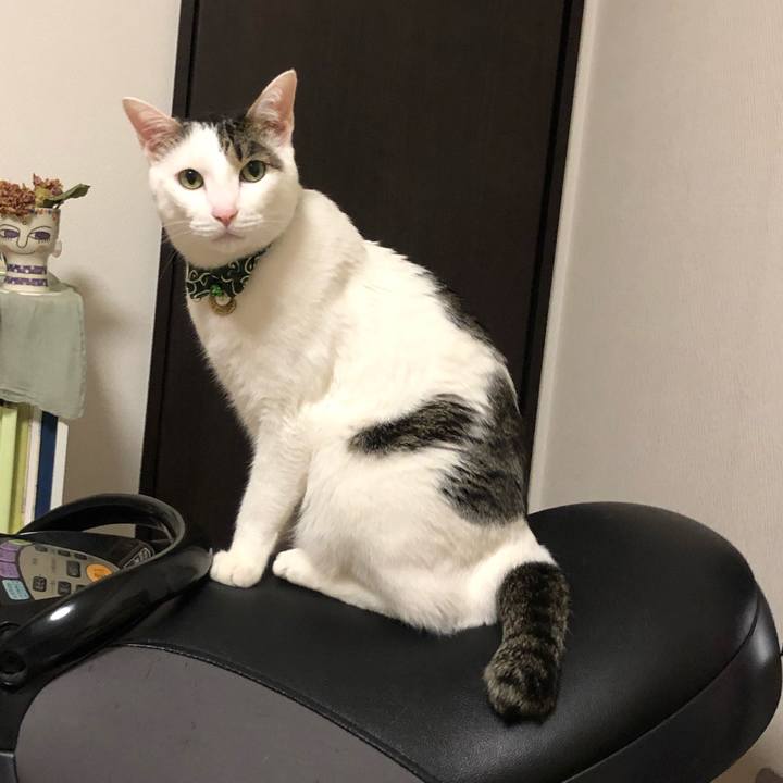 2215c135 c04c 46dd 9a7c 1720a01ea78b 1557117747986