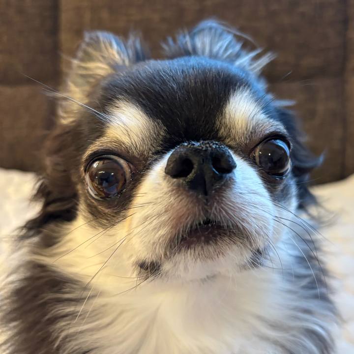 2215cb2a f698 4d6c bb5c 211100eb00e1 1746831756064