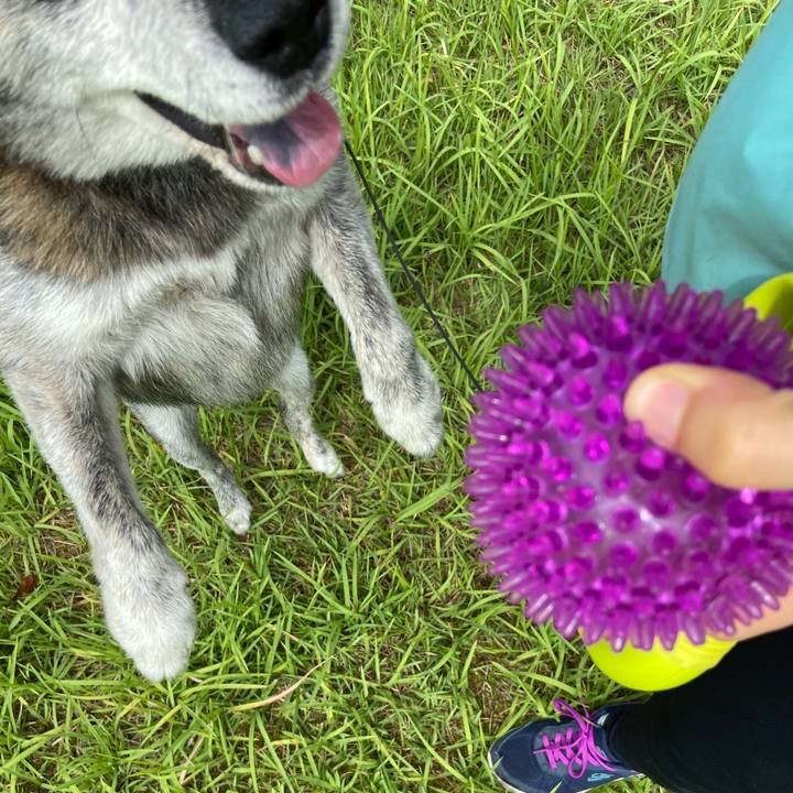 2215ef41 9ab0 4145 85c8 14d14e48513e 1725767174344