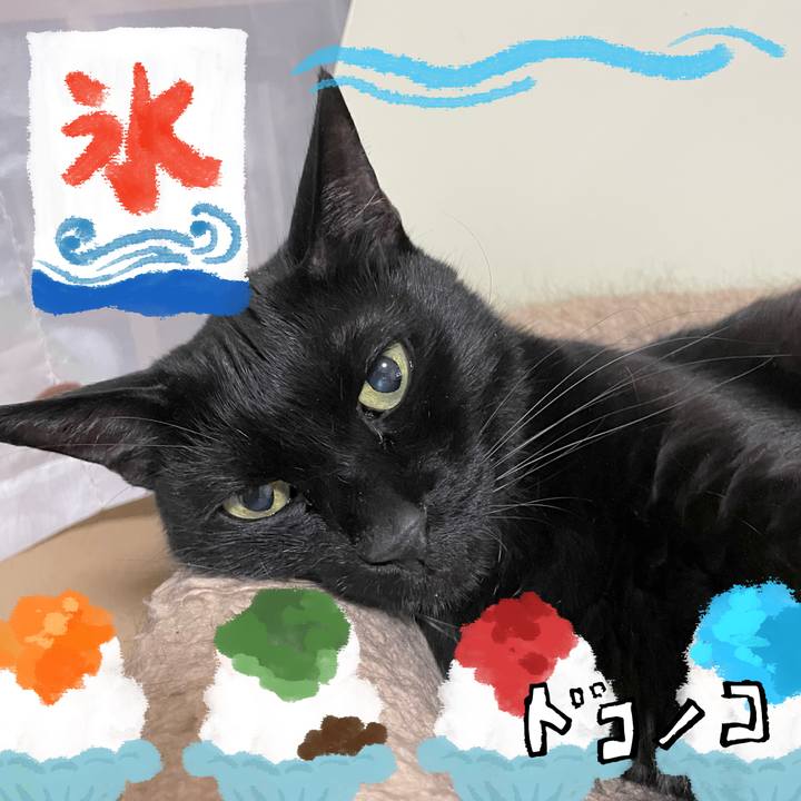 22164af0 5507 44ae 9d6d 7505255c78af 1723370782688