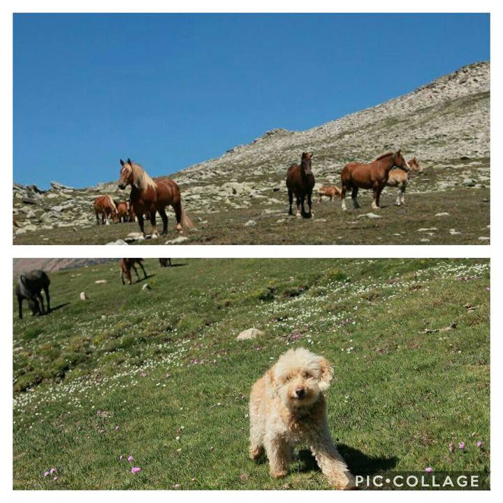 22165854 9635 4a26 829a e005315de34e 1562598787374