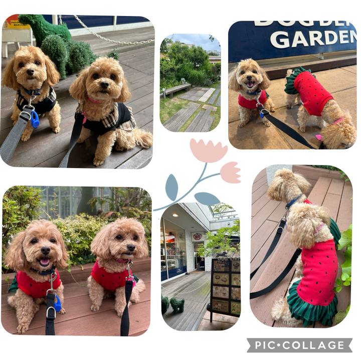 2216724d e392 4ec5 b40b 3e8ebcfe35c6 1716110861802