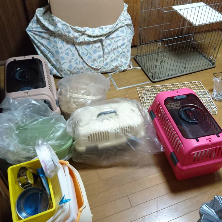 221683fd cc20 4518 ad90 b85c3ef43dec 1552840383036