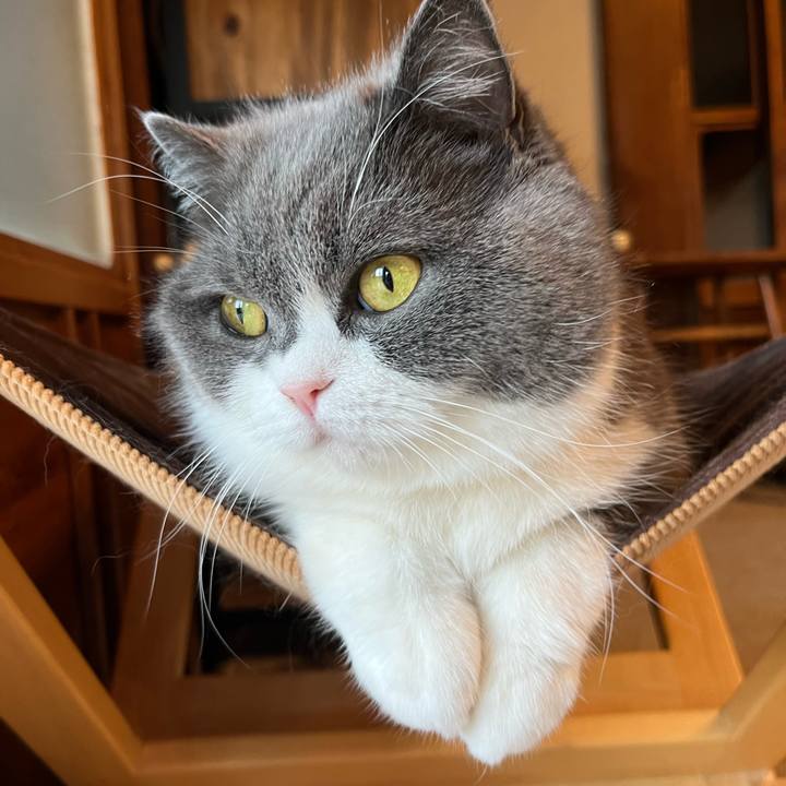 221698a3 cf09 4013 9f74 83b3c4c7091b 1713608412990