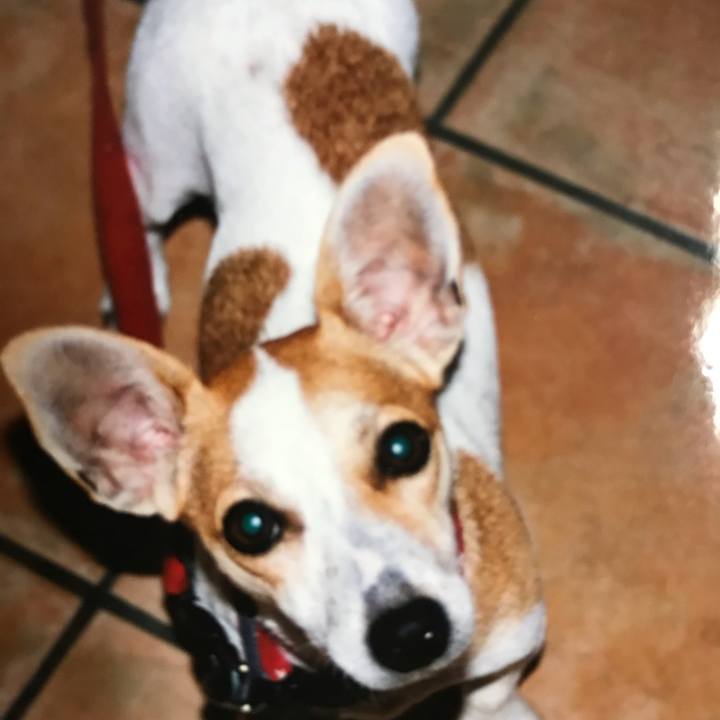 2216a091 2c24 4b2f 95a6 b94c3c0991f4 1604315002644