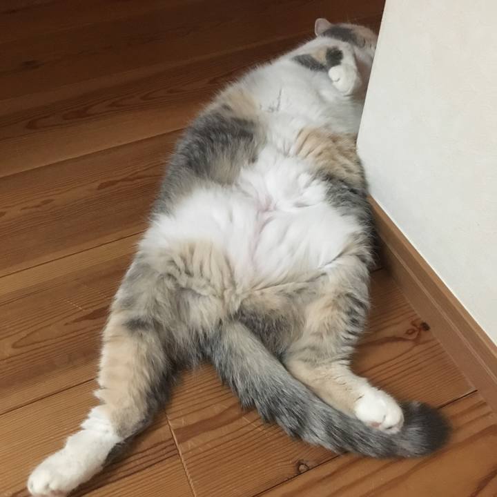 2216b450 14c4 44fd a6fe 17d6e5fa525e 1552938745098