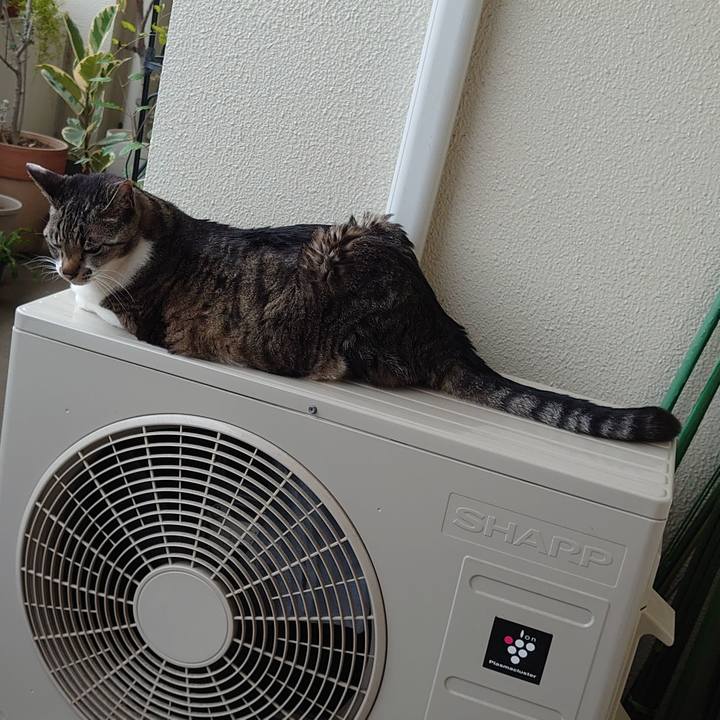 22174f09 3fe0 4260 8d7a 8dbd378962b6 1713818123142