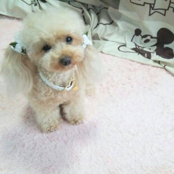 221750d5 fab8 4601 8455 7f3f0cab3b84 1542800638213