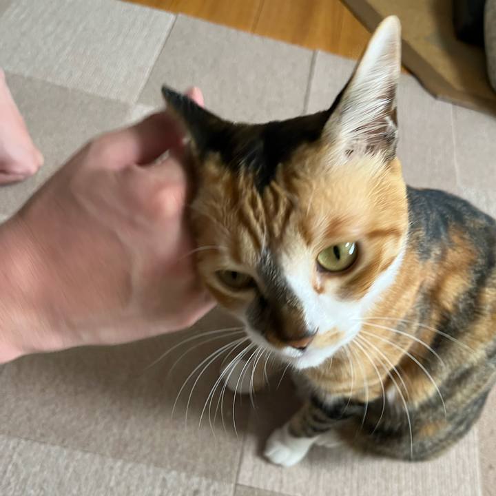 2217707f 98a6 4a88 8952 44ce305fcb81 1747751798731