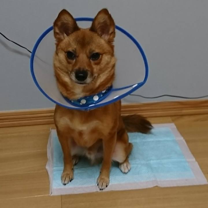 22178bc7 d936 44d6 8a6c 5cb33283701d 1508419250041