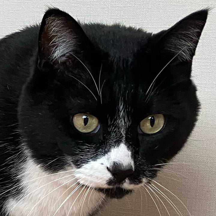 2217da47 41ab 4346 967d 72a978f7289b 1753500808281