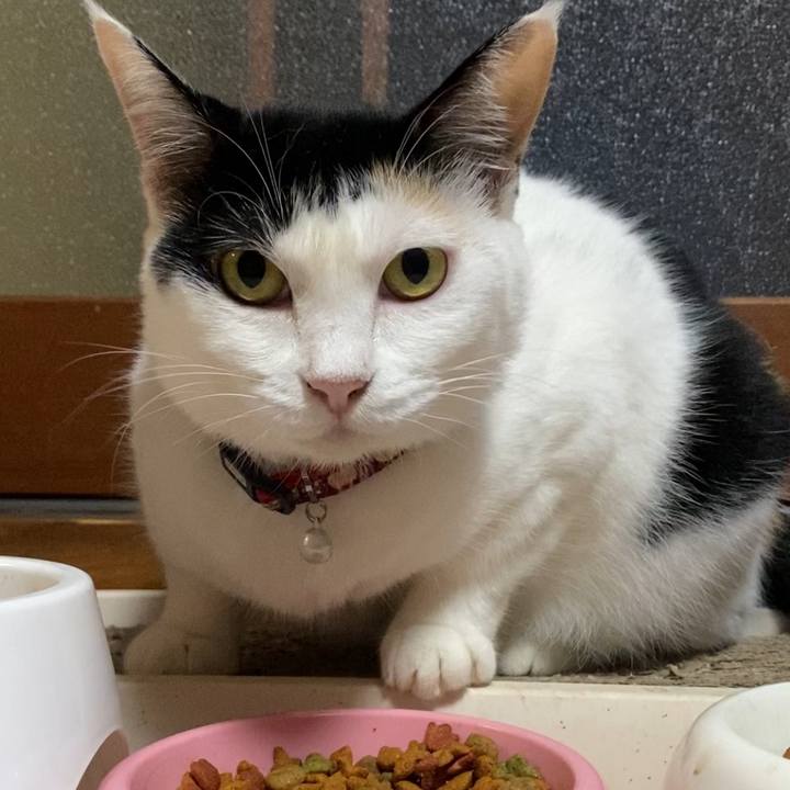 2218191f 829d 44bb bbd4 901e3524d05c 1661893069467