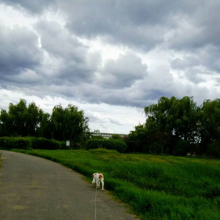 2218810f da18 426d 908d 7b81186942c4 1534418599410