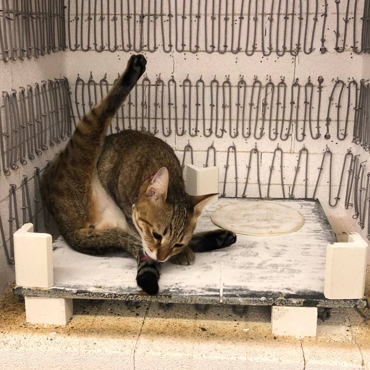 22189c97 4d8d 4f04 8a3e 9a4380f03c60 1607668399107