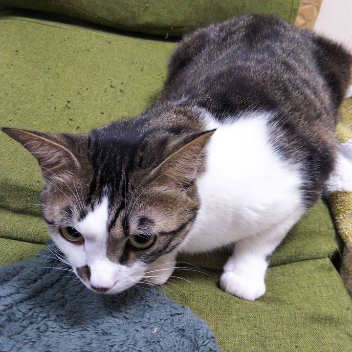 2218e00a 70b7 473a a00b 956e9e09791c 1645192660203