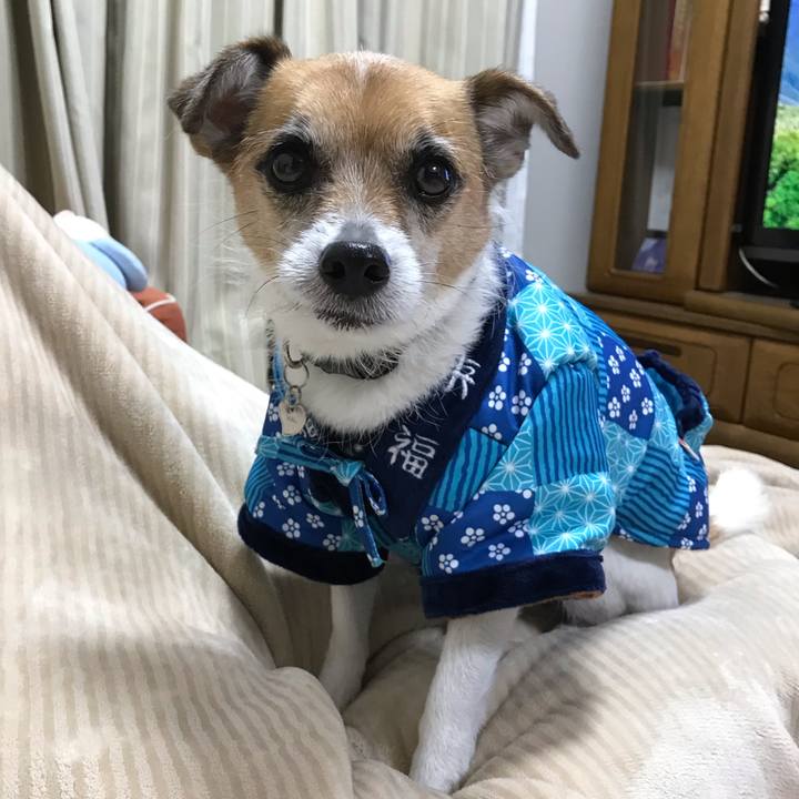 2218f9f9 86c7 4967 8b47 468100edf478 1544782820956