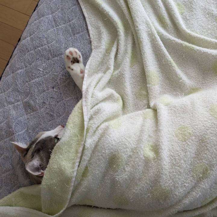 2219051b 4db4 4c10 ad68 4266a3db8716 1689424357821