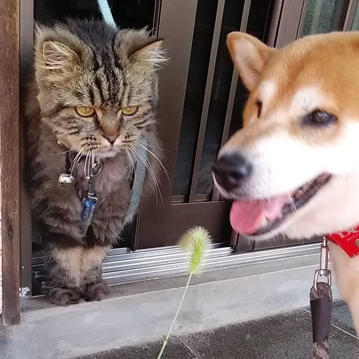 22191529 aec3 41a7 800f d2b4b5cf03d8 1656245156975