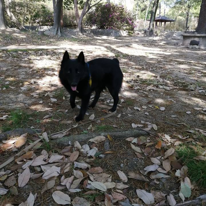 22191b02 0727 4878 a72a 8646ee09263b 1587772546024