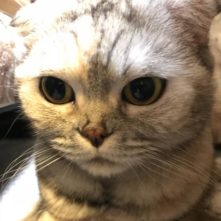 22193aa3 ede3 4f9b b52c 710bddb051d6 1518779212831