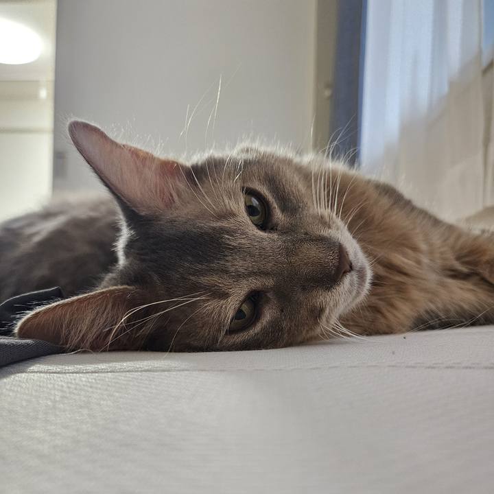 2219427f c6c8 4b59 ab63 805c869f75ff 1722482085486