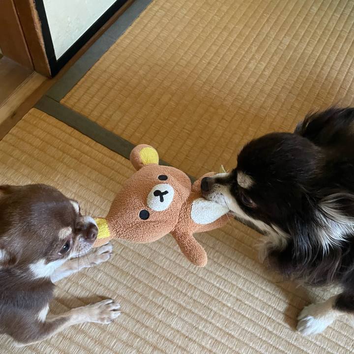 221947ed 3d06 43ba a7b5 b13857fb40a4 1653378284154