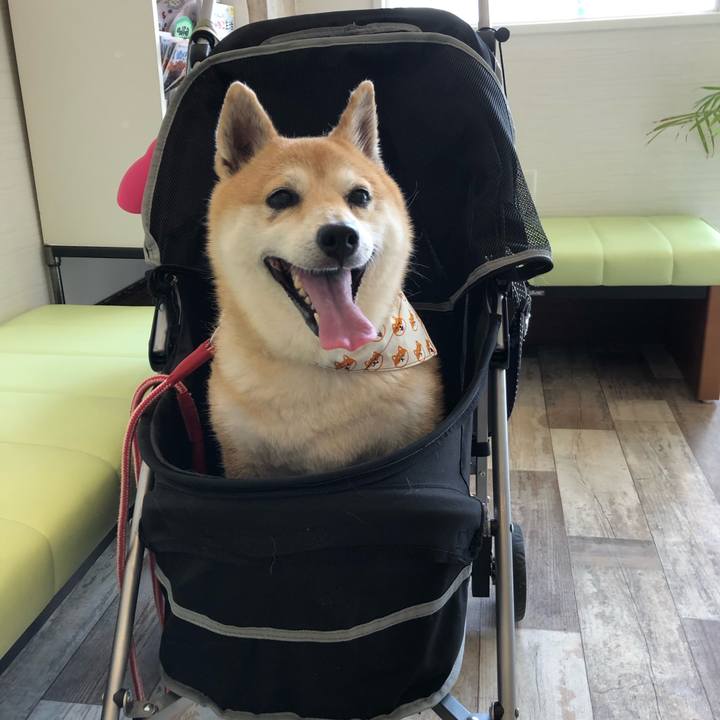 22194c33 62ca 4bfc 8070 7b3bd6d7fea0 1562551258531