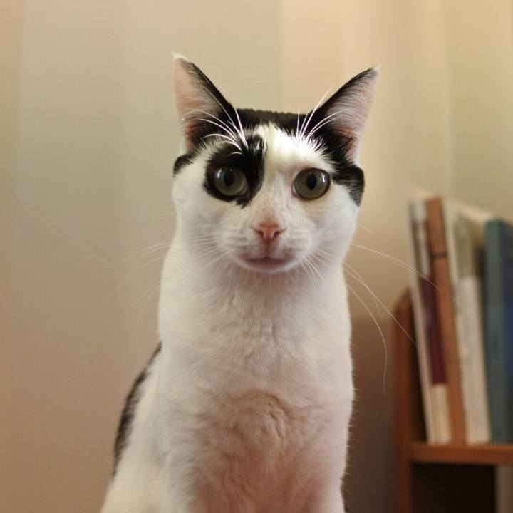 221968ac b068 470c a51a 8da437090da3 1533813054749