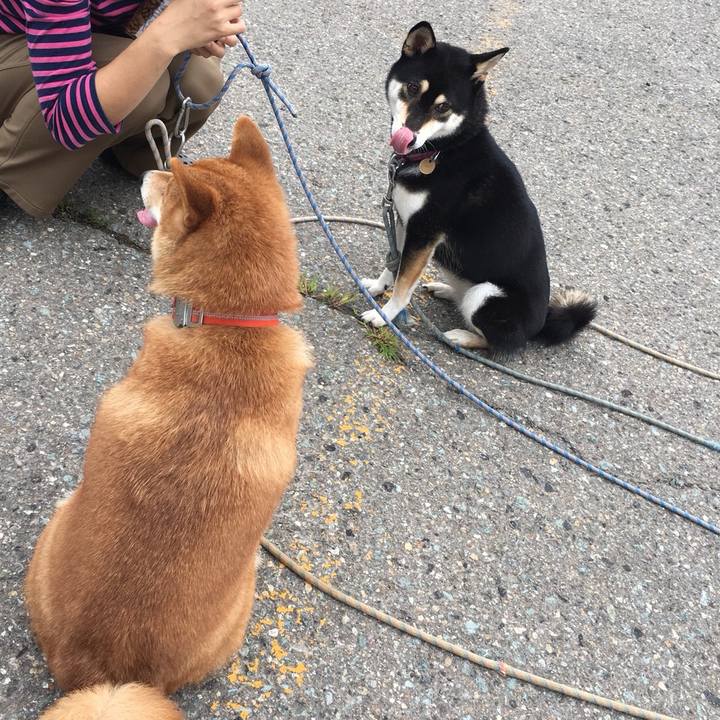 22196ae8 572e 442a b732 f09ba65e168e 1537870779713