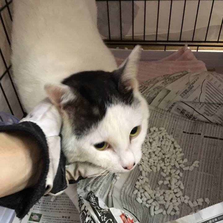 22196e17 aa1c 4de1 b0f0 dbc80b7c303c 1560417047538