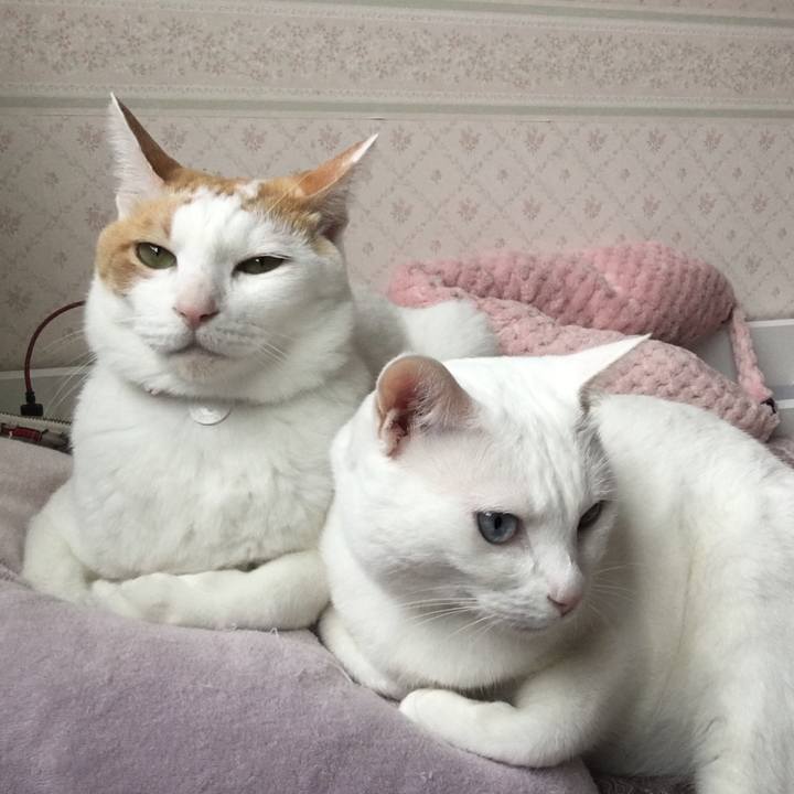 22197959 346a 44be acbc f95ce9b94140 1530597488152