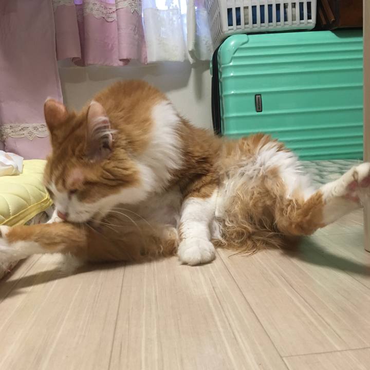 221989a9 289b 4b0e 92a9 9acf00a978ae 1561113131677