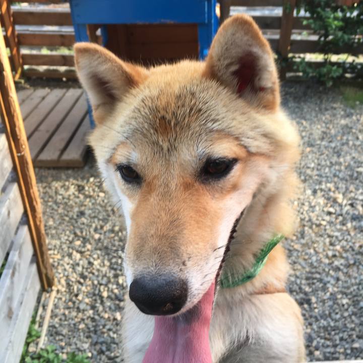 22198a44 813e 4c5c a6f7 3d8385d95ef2 1511849311448